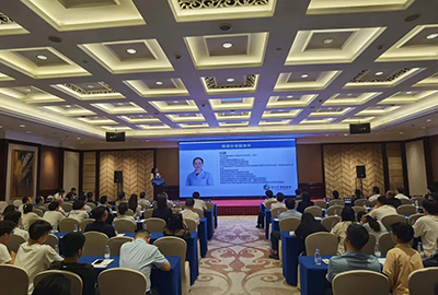 49543998.jpg 12345.jpg